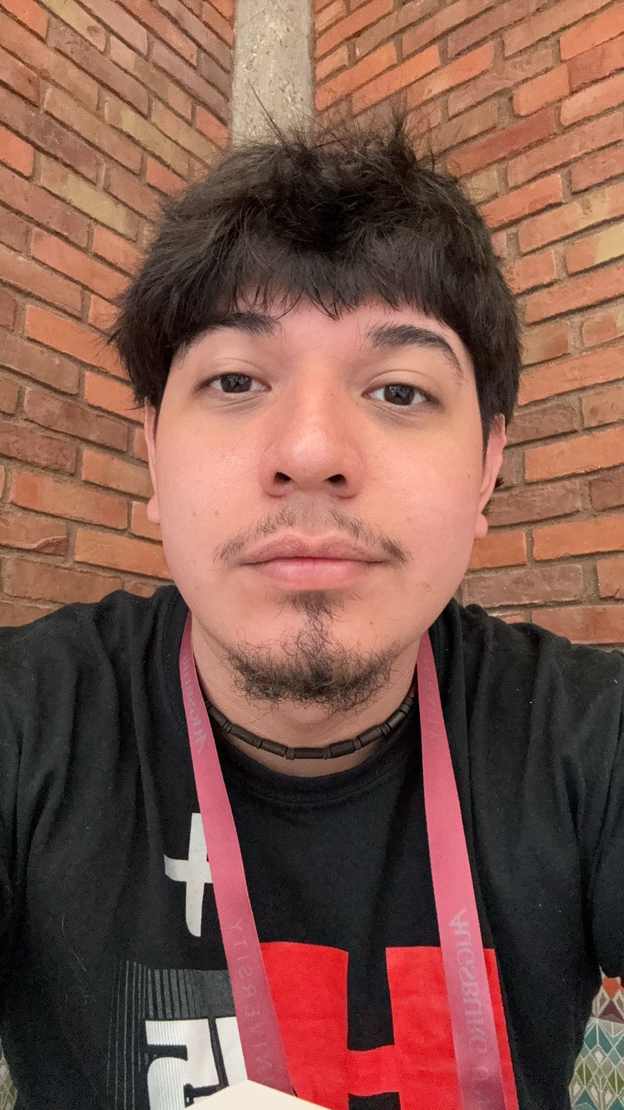 setUpImg